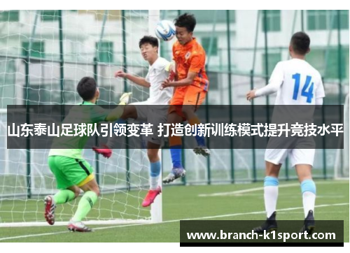 山东泰山足球队引领变革 打造创新训练模式提升竞技水平
