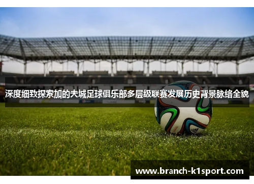 深度细致探索加的夫城足球俱乐部多层级联赛发展历史背景脉络全貌