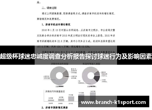 超级杯球迷忠诚度调查分析报告探讨球迷行为及影响因素