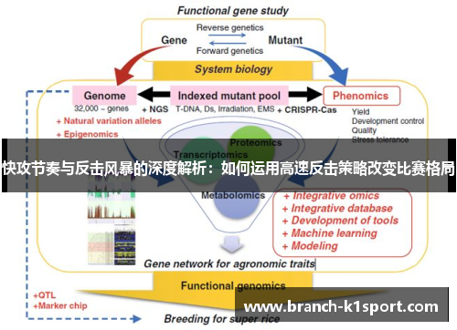 快攻节奏与反击风暴的深度解析:如何运用高速反击策略改变比赛格局 快攻节奏与反击风暴的深度解析:如何运用高速反击策略改变比赛格局