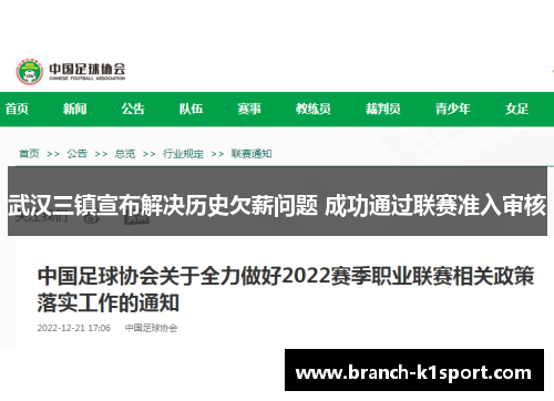 武汉三镇宣布解决历史欠薪问题 成功通过联赛准入审核